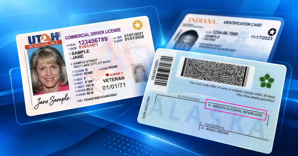 What is the difference between an interdict ID and an interlock ID?